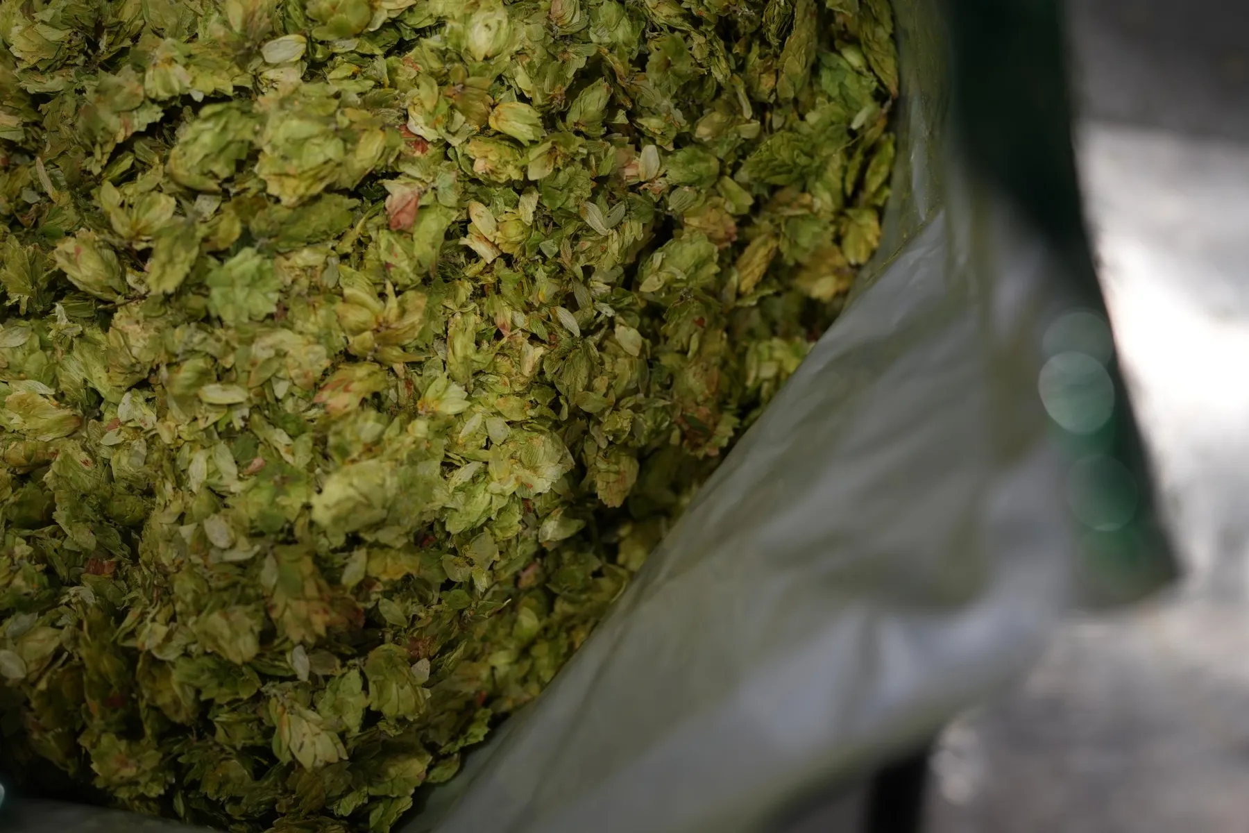 German Hops Bag