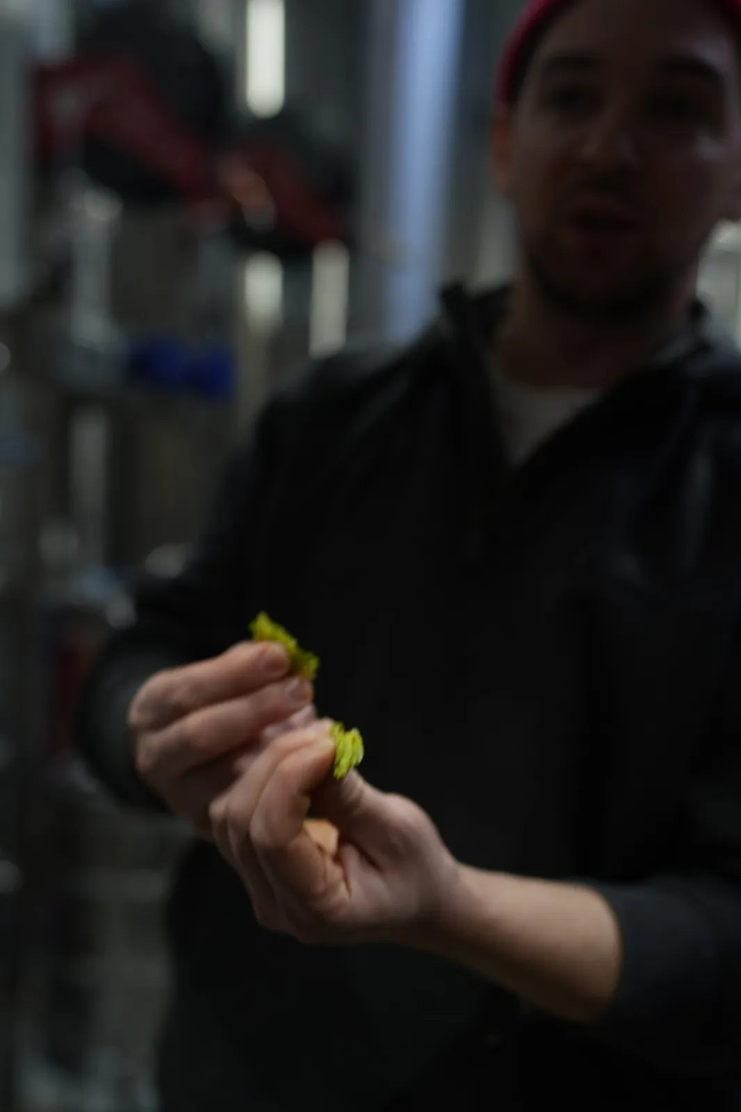 Head Brewer Kevin Traiman Hops
