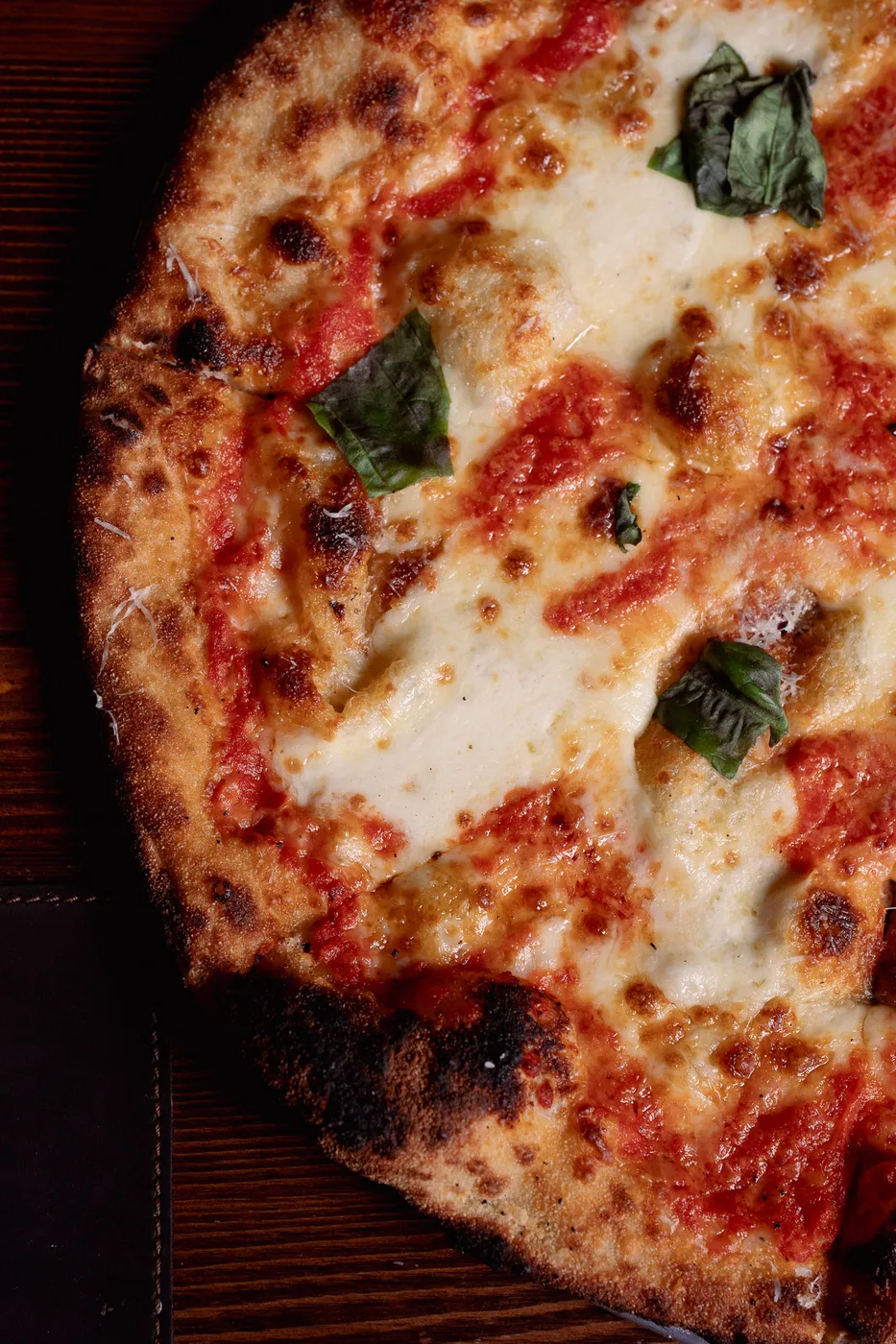 Knead Margherita Closeup